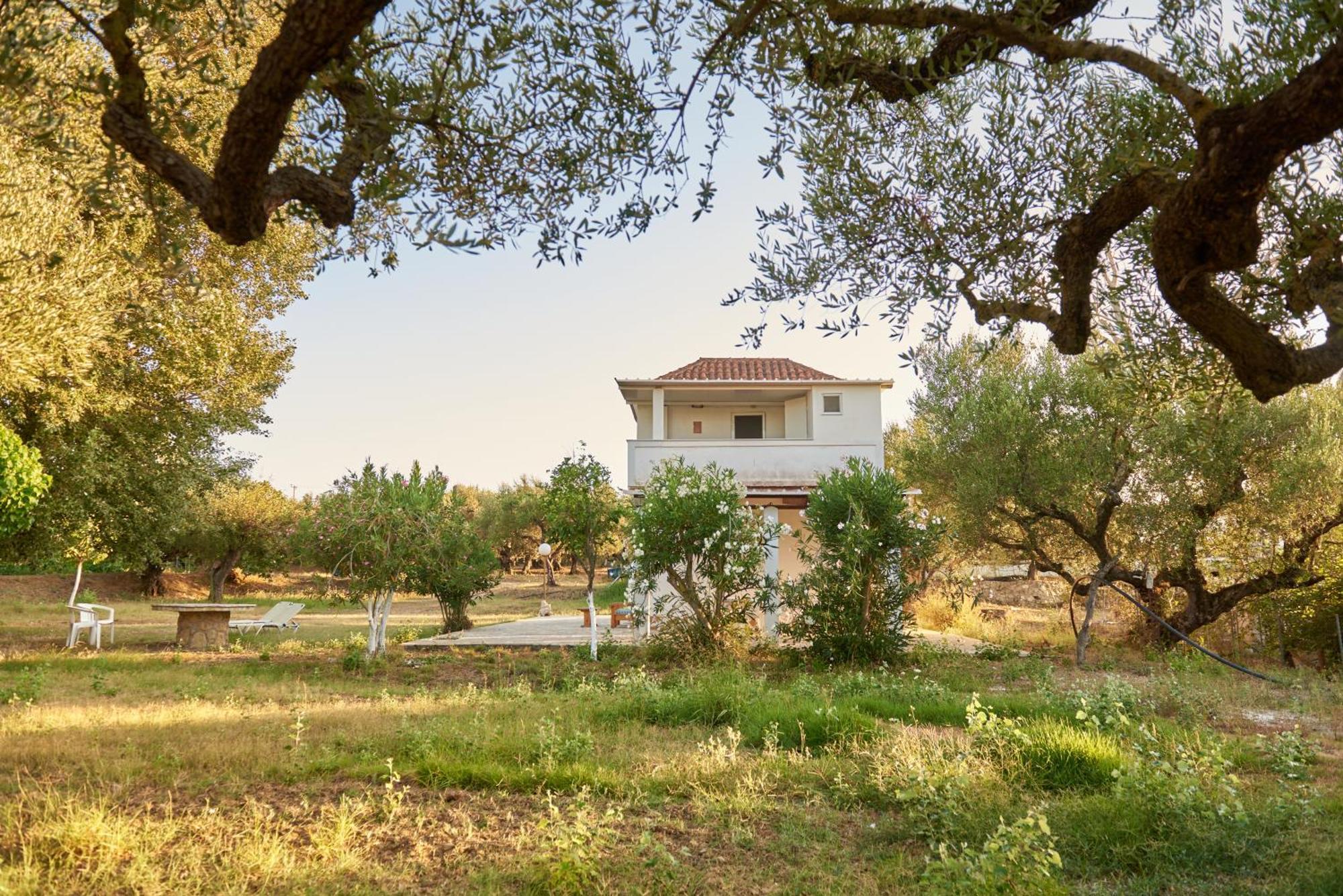Villa Rania / Zante Drosia Kypseli Bagian luar foto