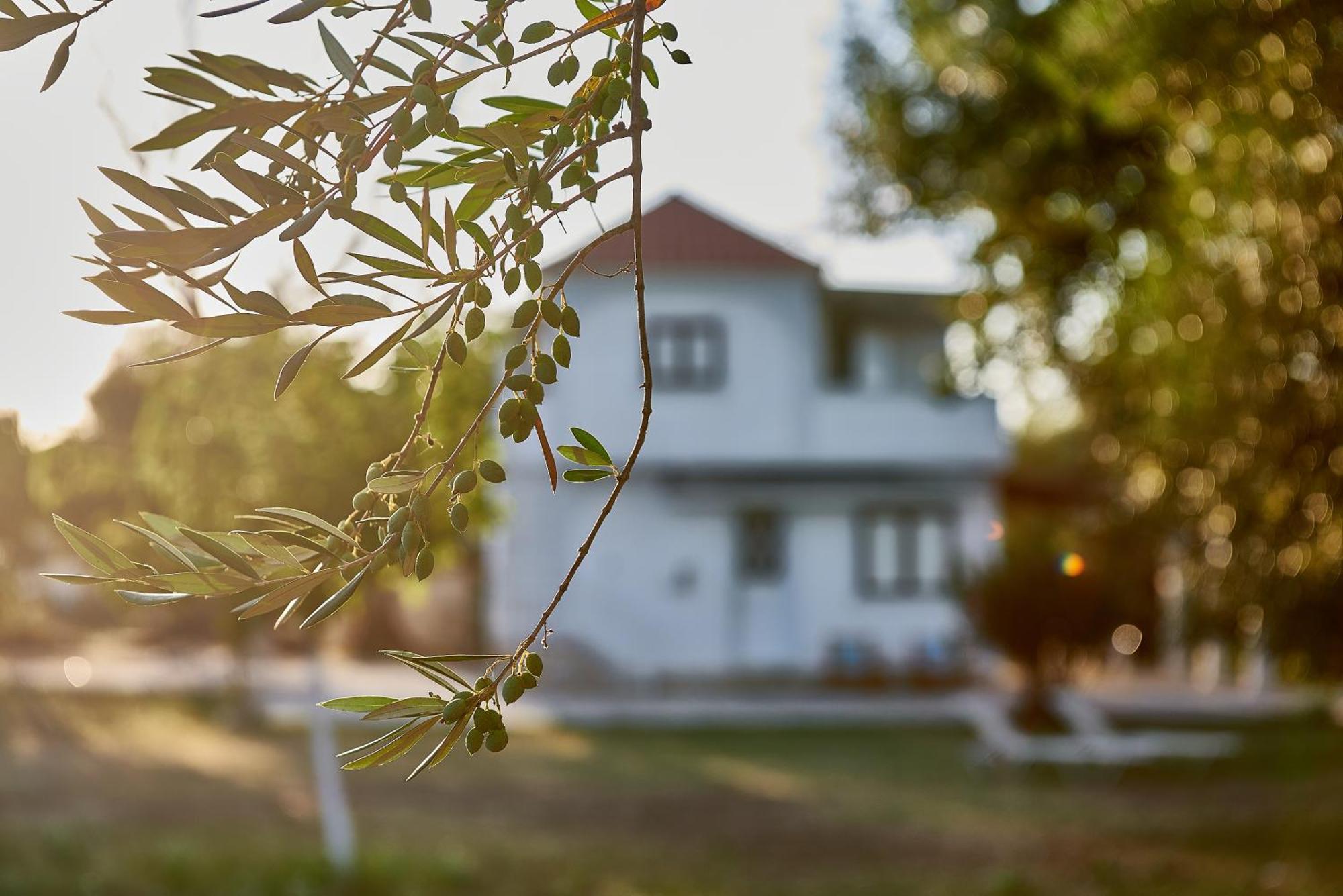 Villa Rania / Zante Drosia Kypseli Bagian luar foto