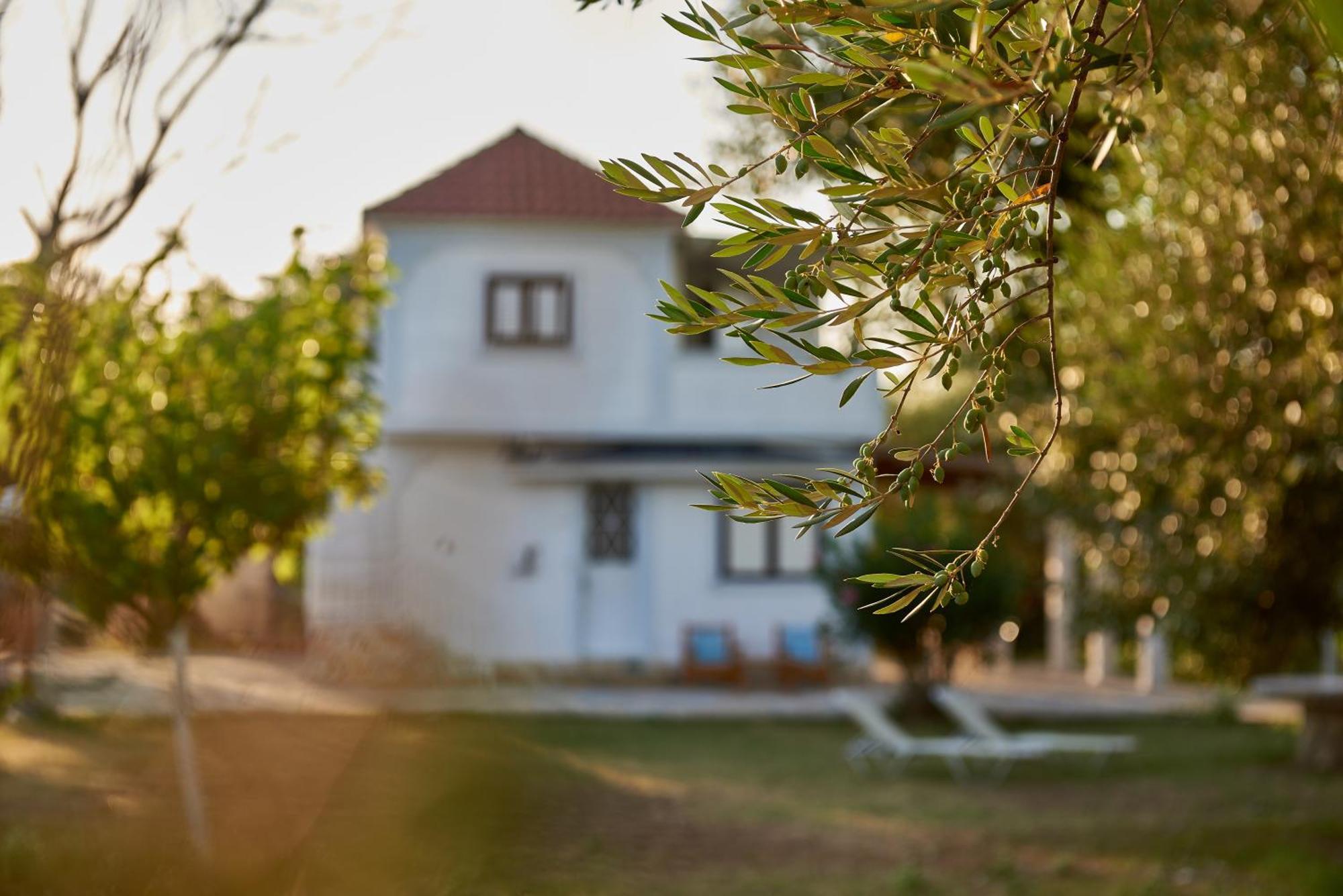 Villa Rania / Zante Drosia Kypseli Bagian luar foto